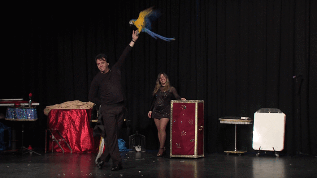 aparicion de loro arcano show